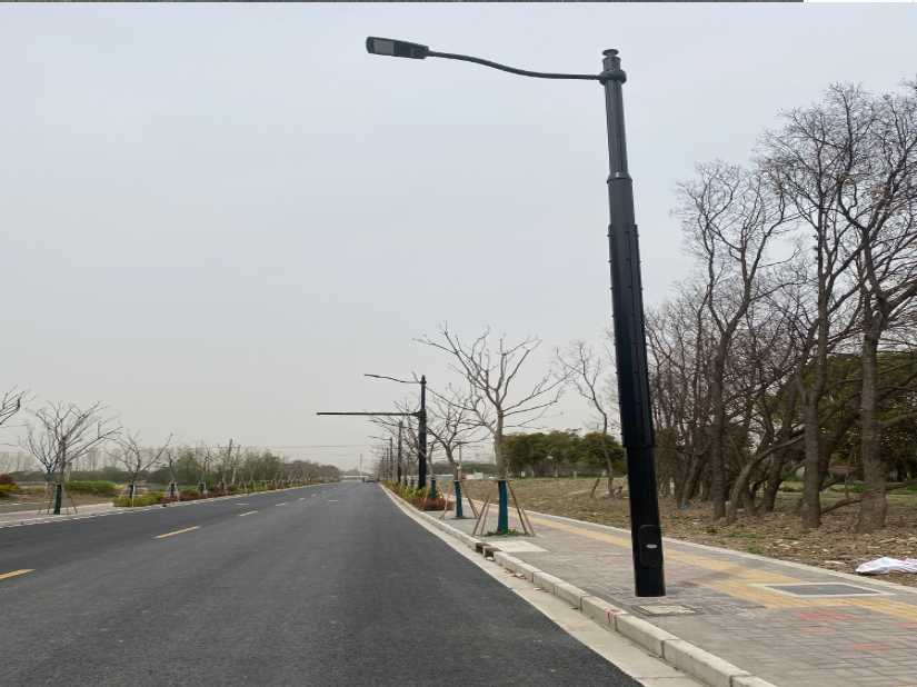 市中区上海综合杆 太阳能路灯工程